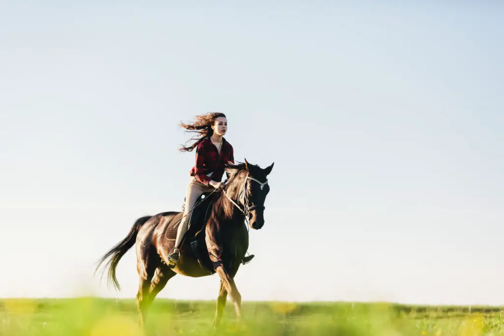 une jeune femme monte à cheval